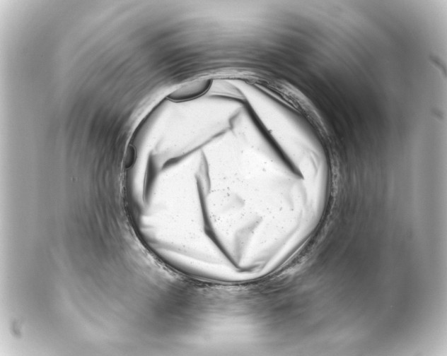 X0000100210860200806271703