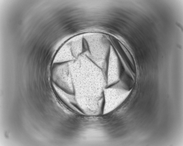 X0000100210862200806271703