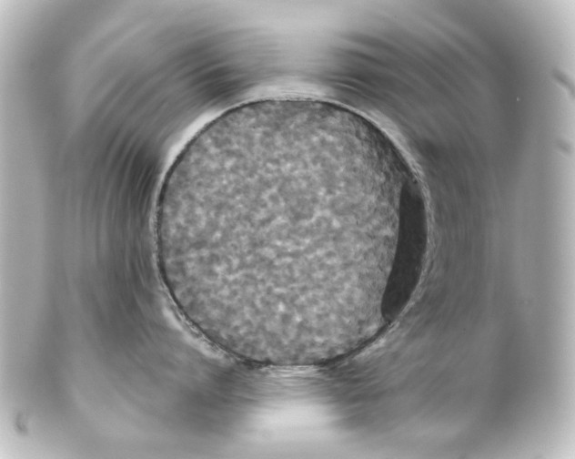 X0000100210864200806271703
