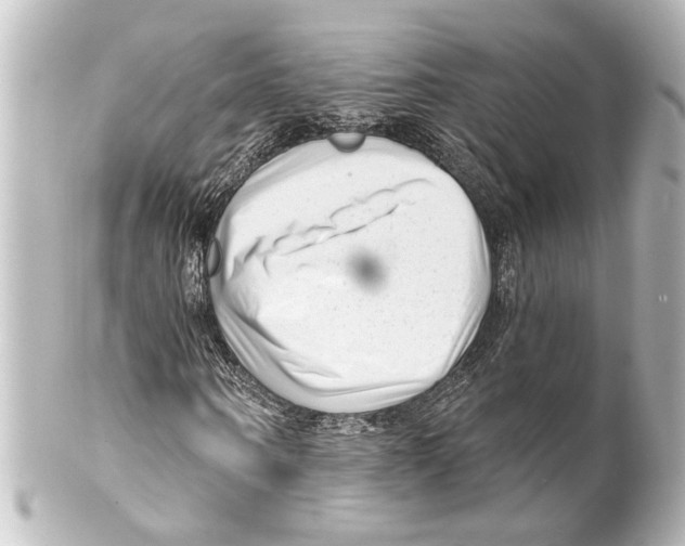 X0000100210866200806271702