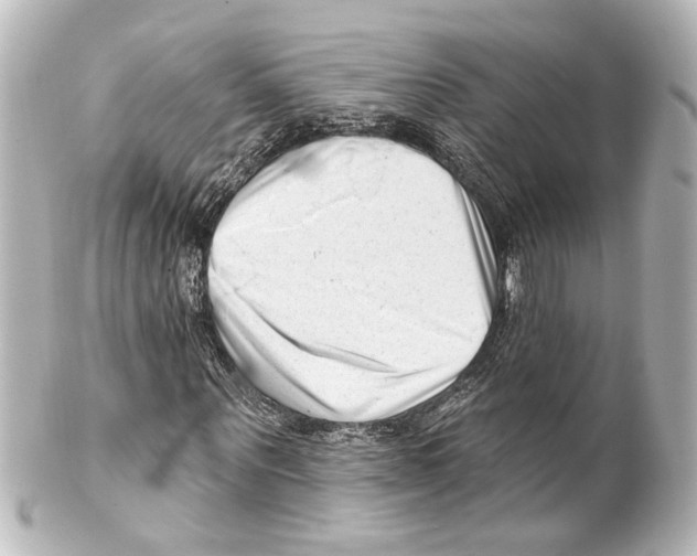X0000100210867200806271702
