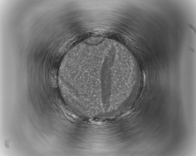 X0000100210868200806271702