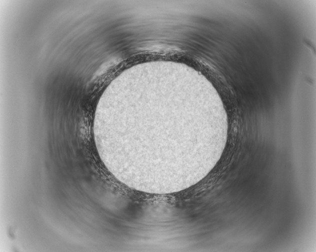 X0000100210869200806271702