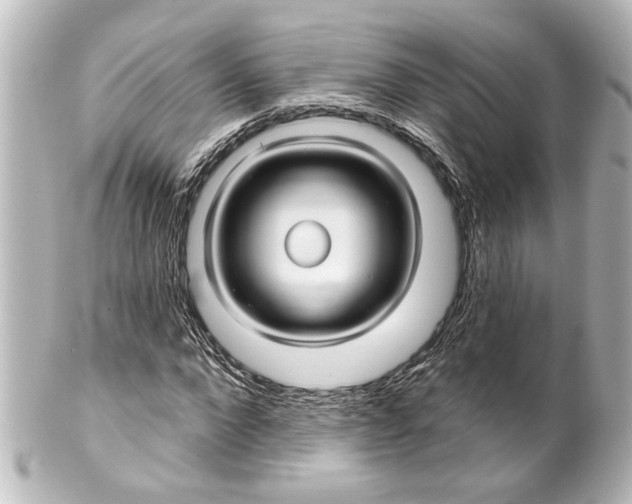 X0000100210872200806271702