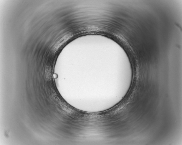 X0000100210873200806271702