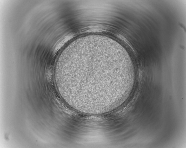 X0000100210874200806271702