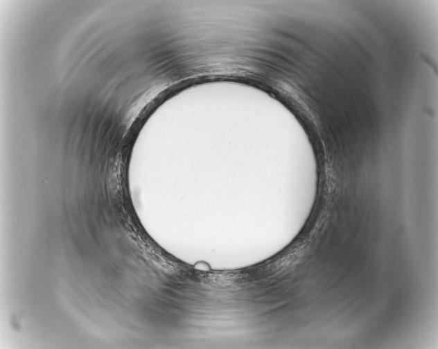 X0000100210875200806271702