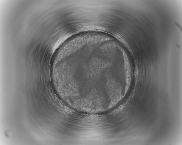 X0000100210877200806271702