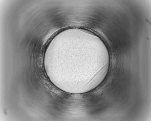 X0000100210878200806271702