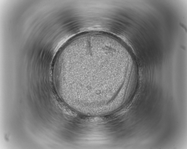 X0000100210879200806271702
