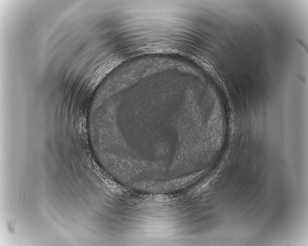 X0000100210881200806271702
