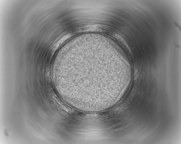 X0000100210882200806271702