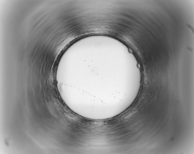 X0000100210883200806271702