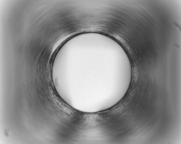 X0000100210886200806271702