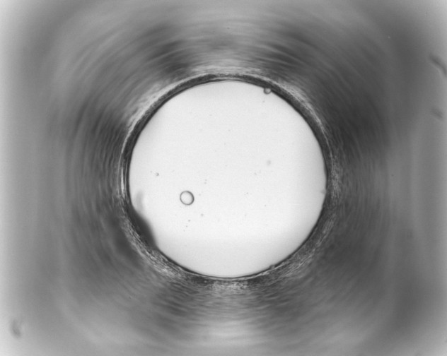 X0000100210887200806271702