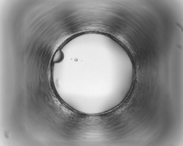 X0000100210888200806271702