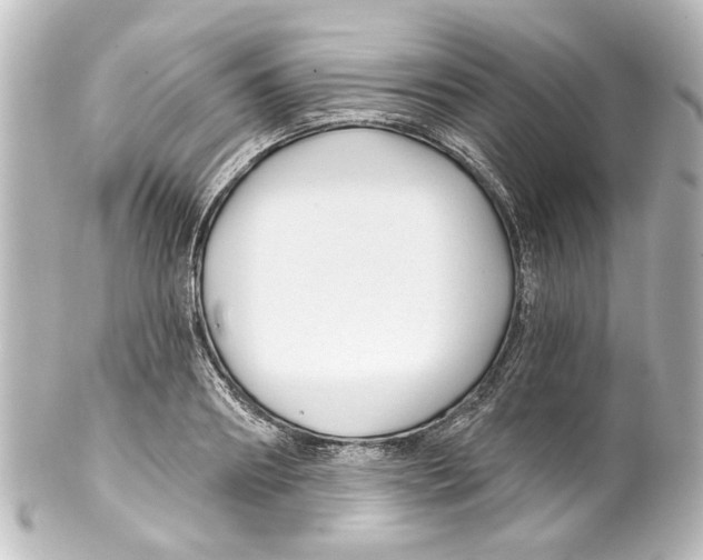 X0000100210890200806271702