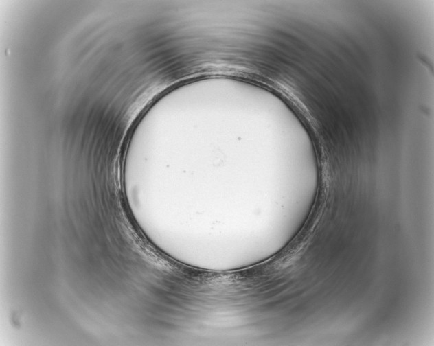 X0000100210891200806271702