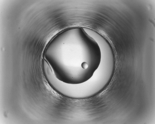 X0000100210892200806271702