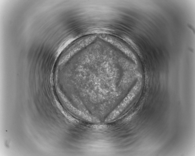 X0000100210893200806271702