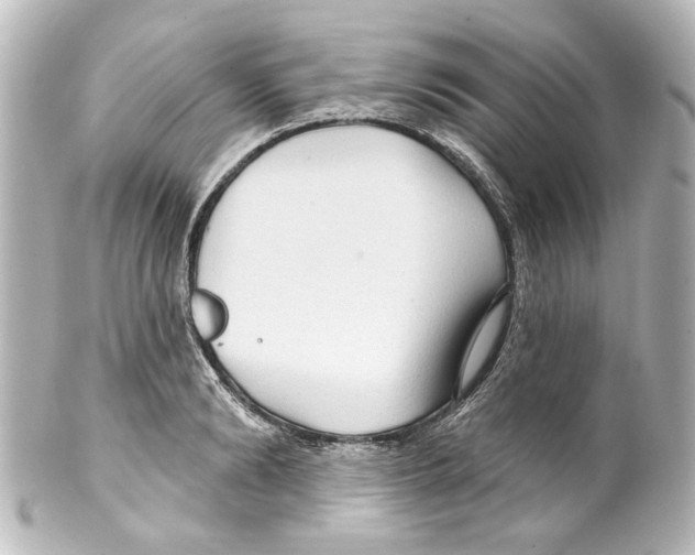 X0000100210894200806271702