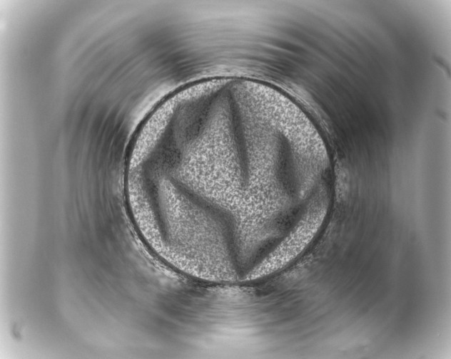 X0000100210896200806271701