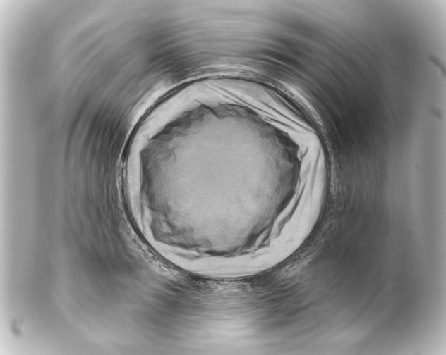 X0000100210899200806271701