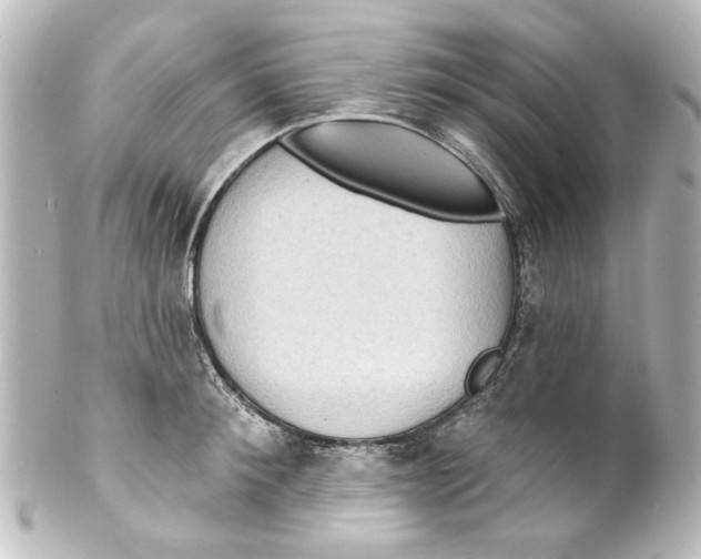 X0000100210900200806271701