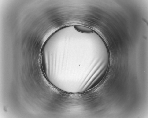 X0000100210901200806271701