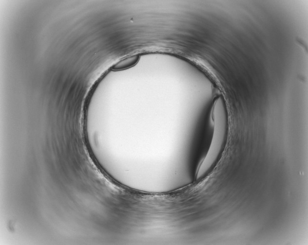 X0000100210902200806271701