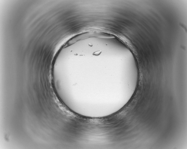 X0000100210904200806271701