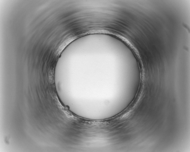 X0000100210905200806271701