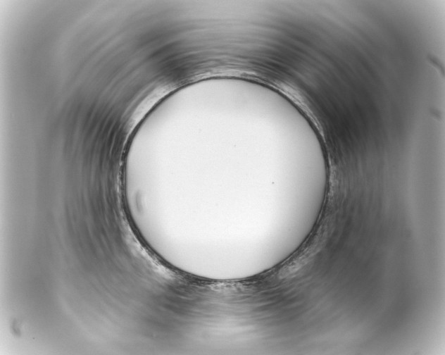 X0000100210906200806271701