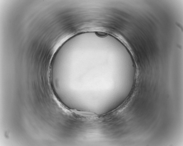 X0000100210909200806271701