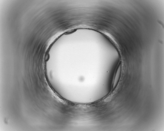 X0000100210910200806271701