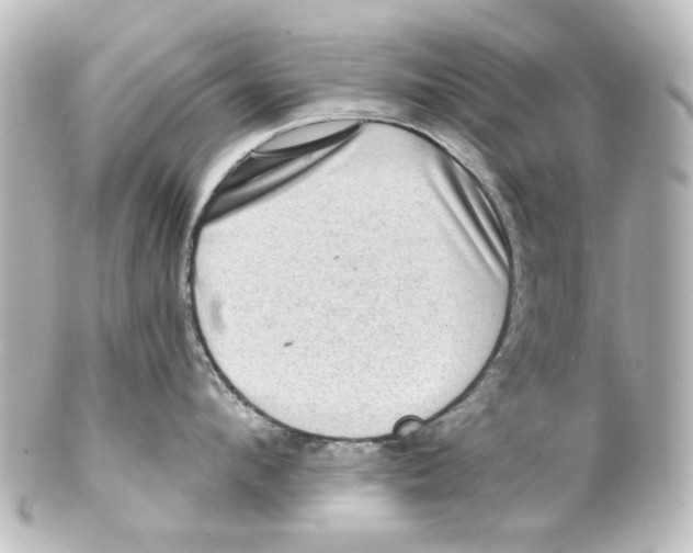 X0000100210912200806271701