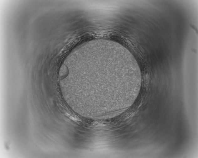 X0000100210913200806271701