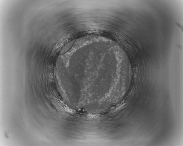 X0000100210916200806271701