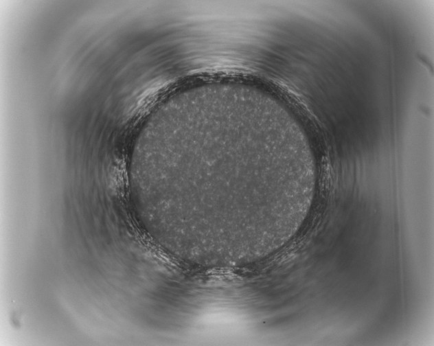 X0000100210918200806271701