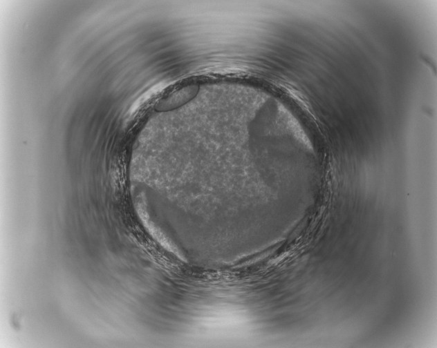 X0000100210920200806271701