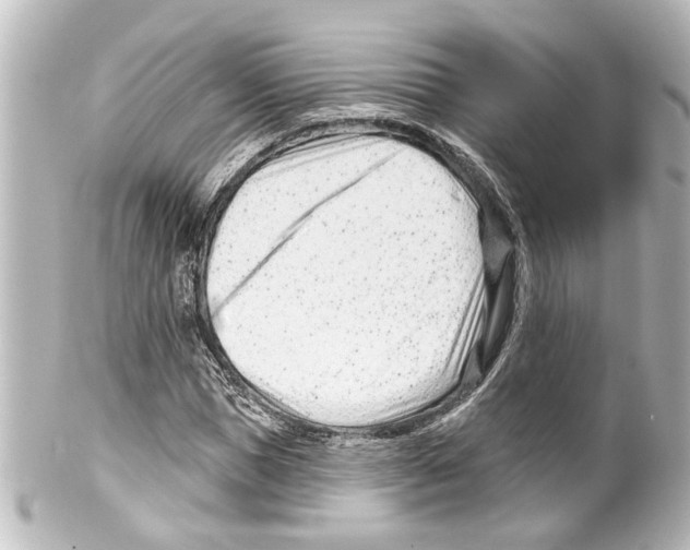 X0000100210921200806271701