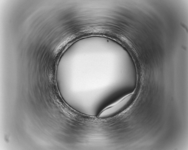 X0000100210922200806271701