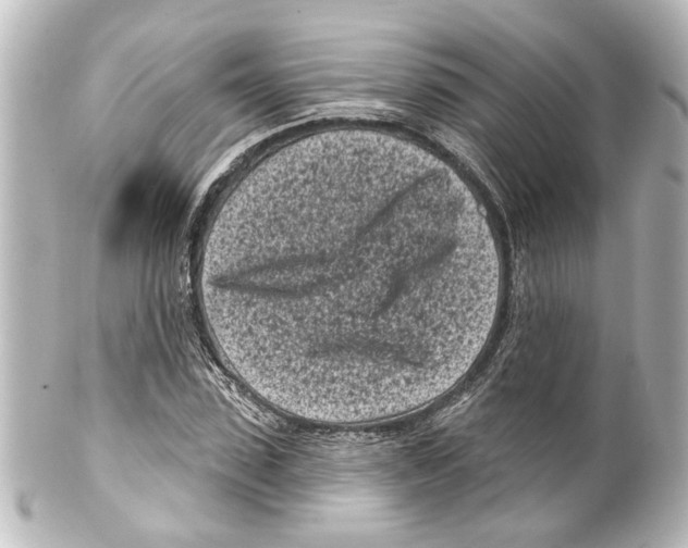X0000100210923200806271701