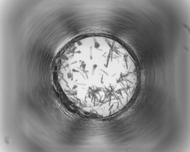 X0000100210925200806271701