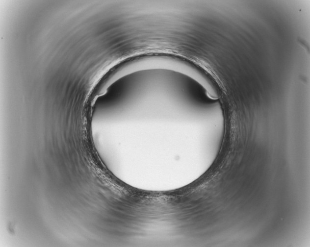 X0000100210926200806271701
