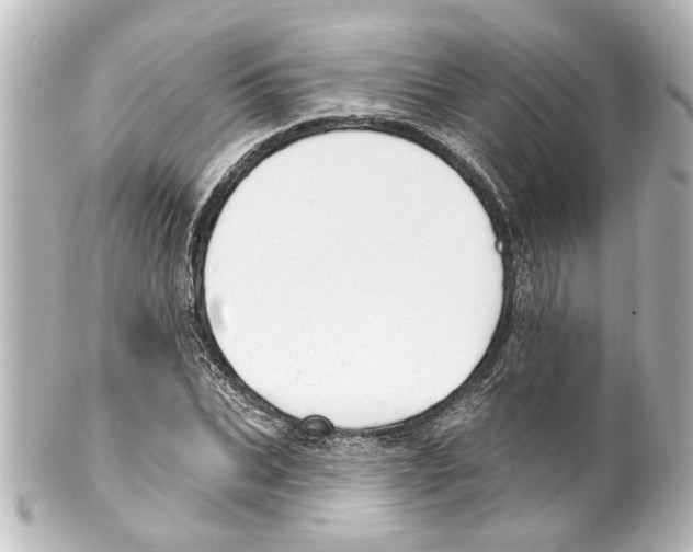 X0000100210927200806271701