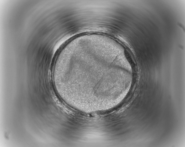 X0000100210928200806271701