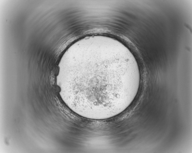 X0000100210929200806271701