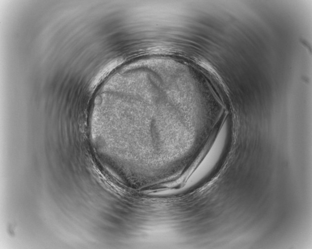 X0000100210930200806271701