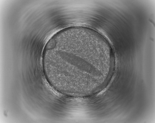 X0000100210932200806271701
